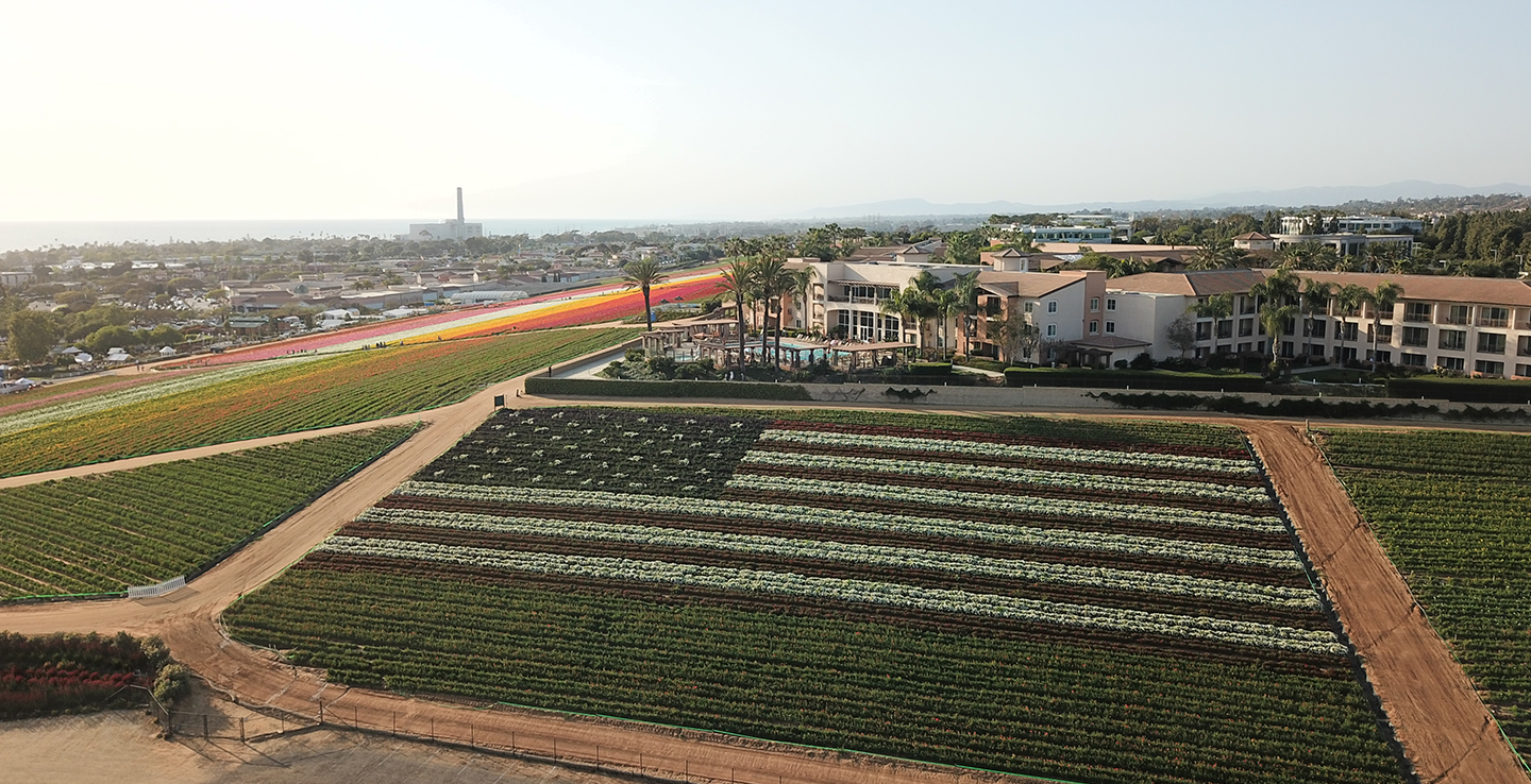 PRIME LOCATION ABOVE THE SEASONAL CARLSBAD FLOWER FIELDS