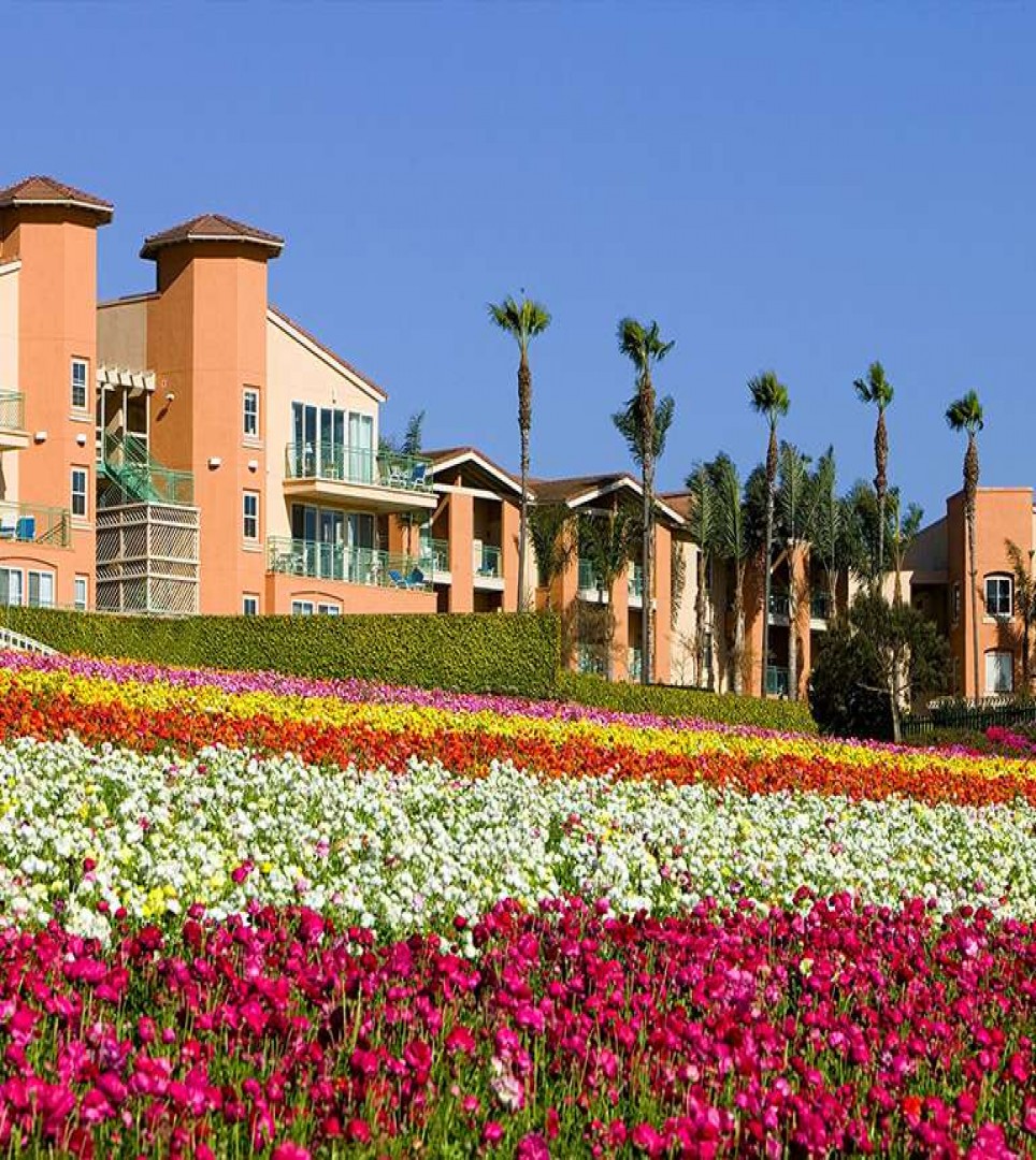 TAKE A LOOK AT OUR IMPRESSIVE GROUNDS, AMENITIES, AND ACCOMMODATIONS