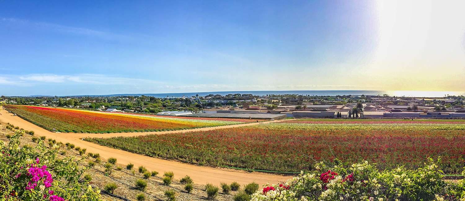 ACCURATE WEATHER FORECAST FOR CARLSBAD, CALIFORNIA